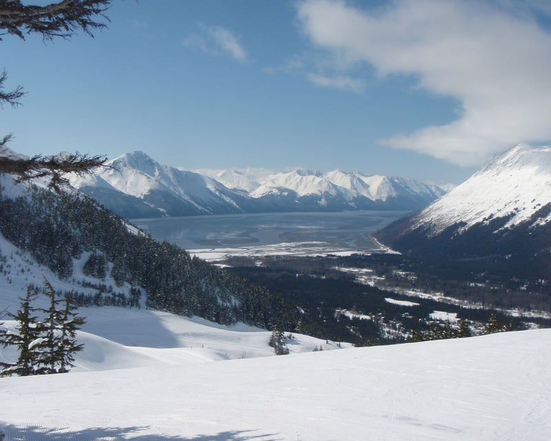 Anchorage Turnagain Arm Wildlife Guided Tour