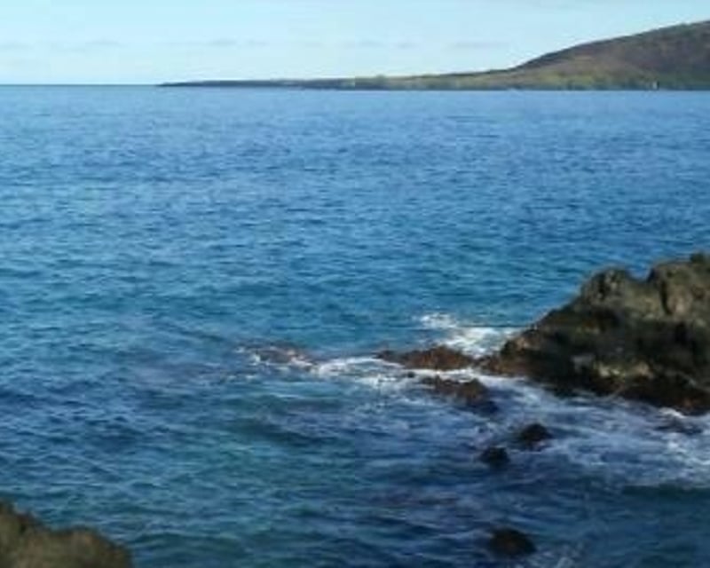 Hike-In Shoreline Reef Fishing Tour in Kona