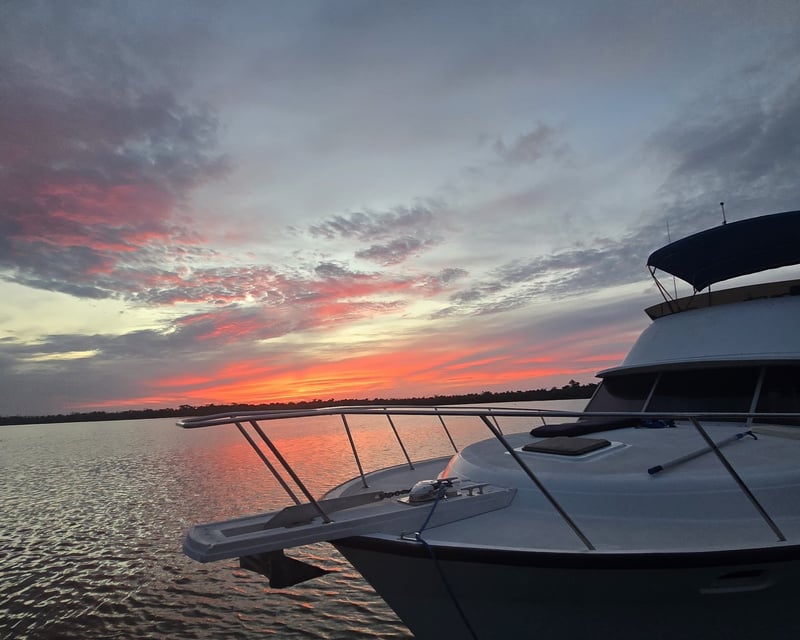 Private 40' Yacht Dolphin Cruise in Venice