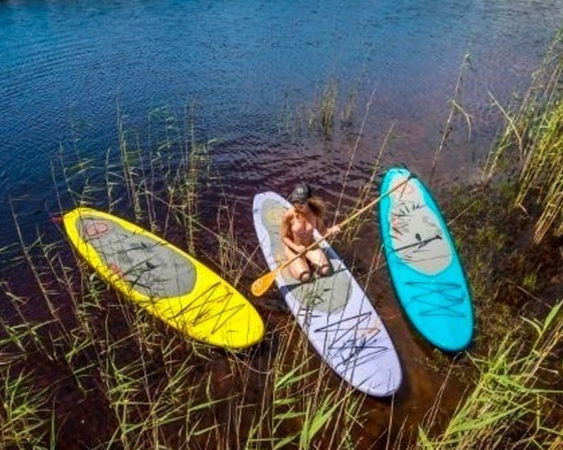 Stand-Up Paddleboard Rental at Jackson Blue Springs