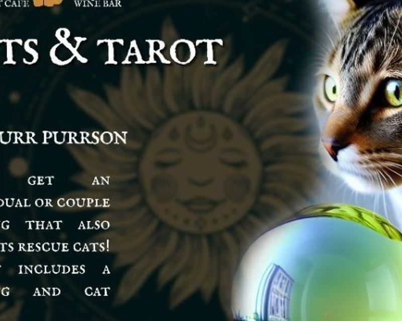Alexandria Cats & Tarot Reading