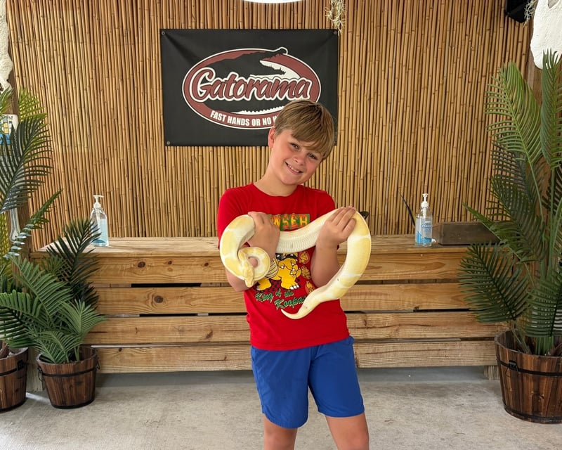 Palmdale Ball Python Encounter