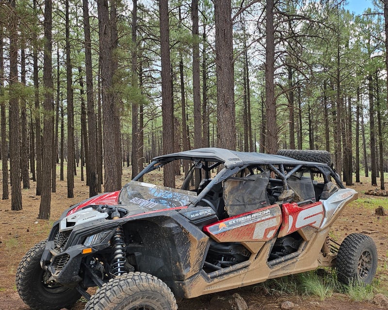 2-Hour Coconino National Forest UTV Rental