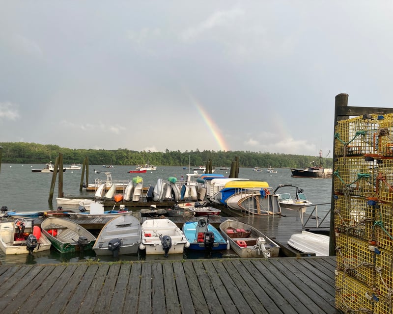 Coastal Cruise with Optional Lobster Roll in Freeport, Maine