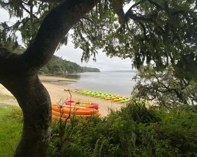 Guided Wildlife Kayak Tour of Tomales Bay