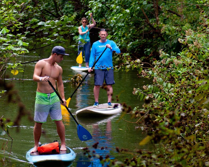 Explore Oahu Rainforest River Paddleboarding