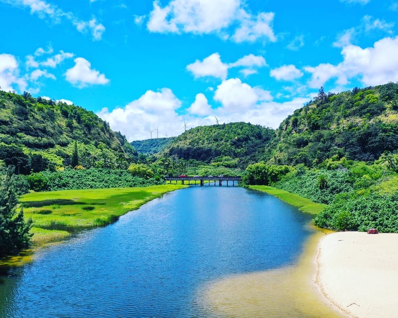 Round-Trip Shuttle from Waikiki to Waimea Valley & Haleiwa
