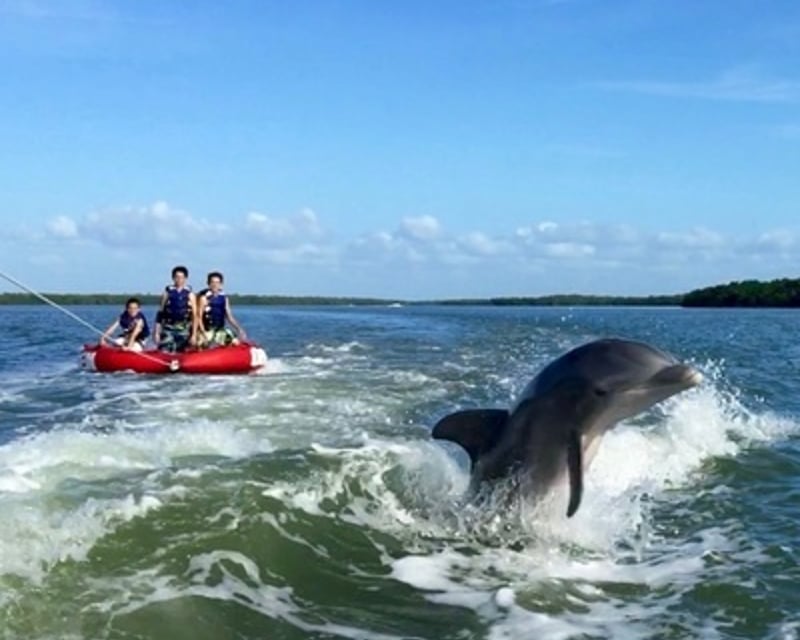Private Dolphin, Shelling & Tubing Tour
