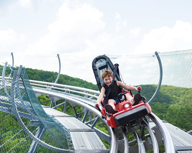 Ride the Copperhead Mountain Coaster in Branson