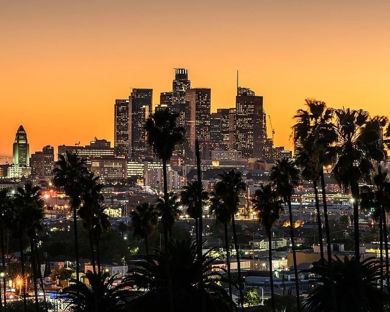 Guided Los Angeles City Driving Tour