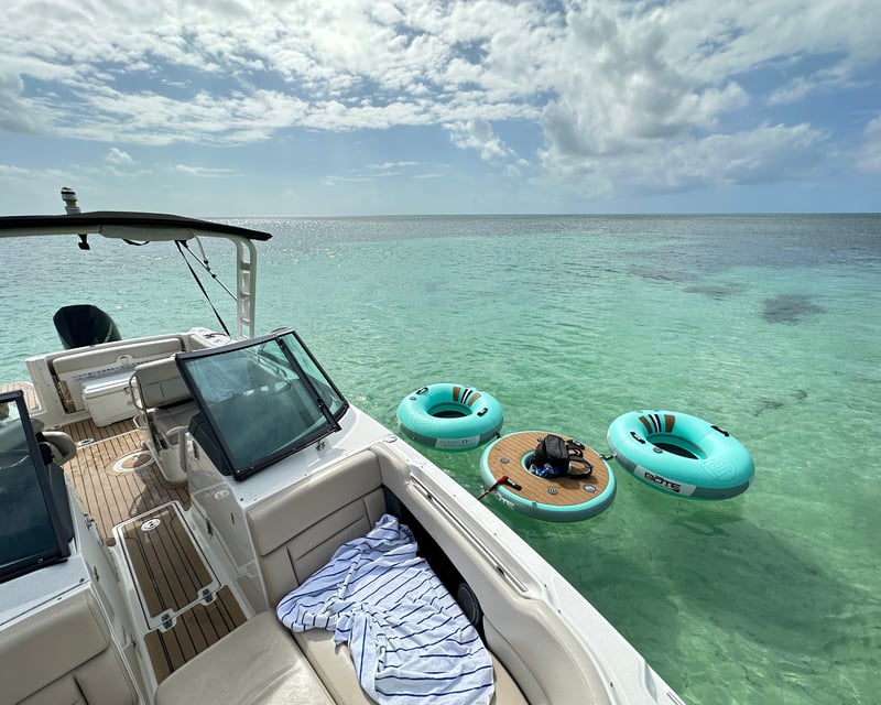 Cruise a Sandbar for 5 Hours on a Boston Whaler