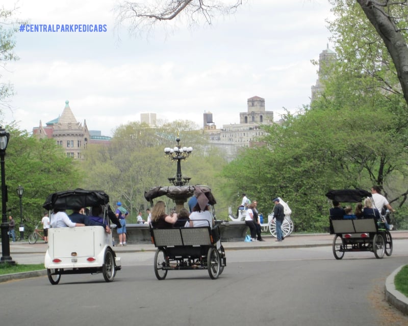 Central Park Pedicab Tour of South & Mid Park