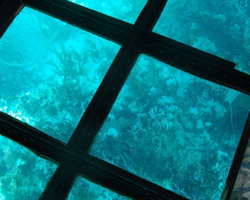 Key Largo 2-Hour Glass-Bottom Boat Cruise