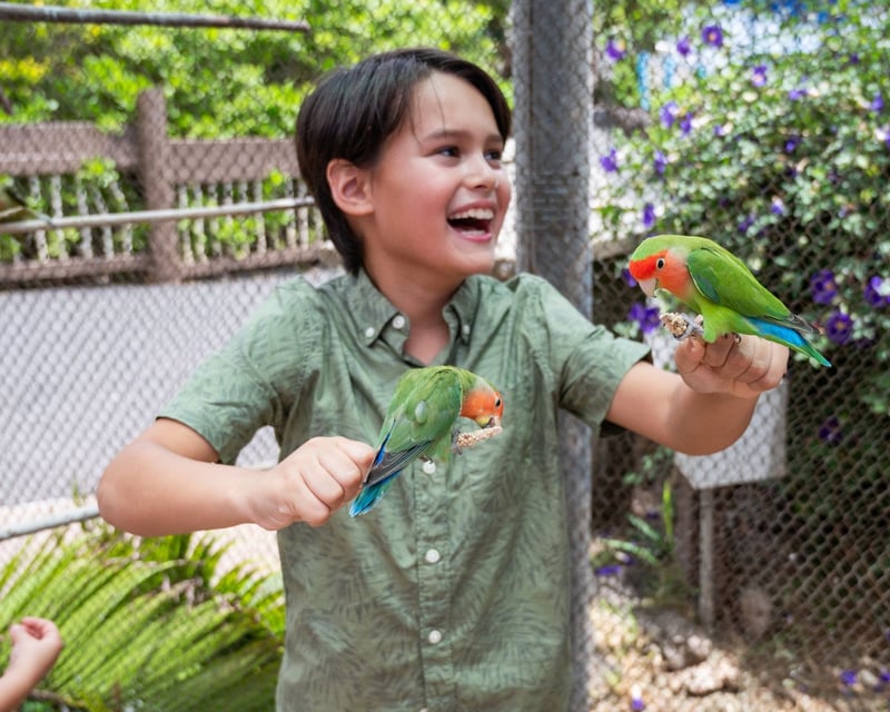 Sea Life Park Hawaii General Admission