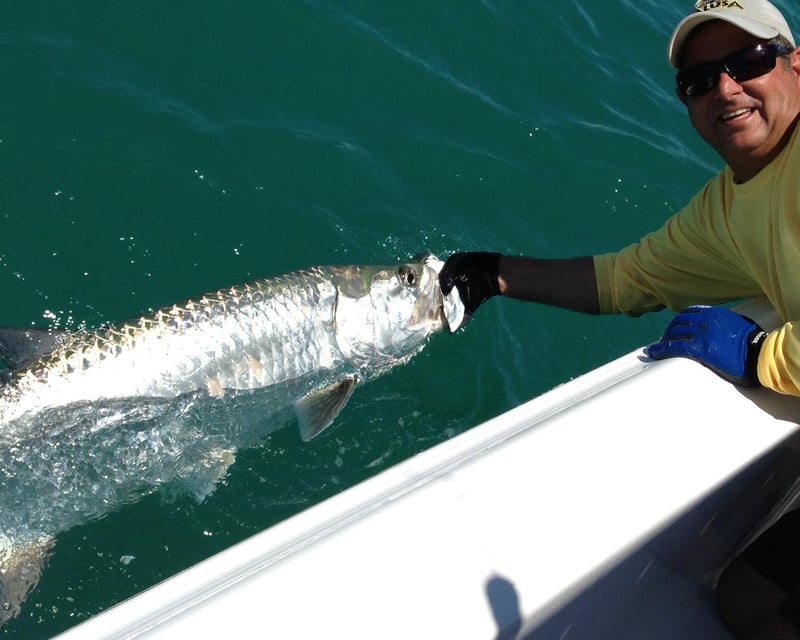 Tarpon Fishing Charter in Fort Myers