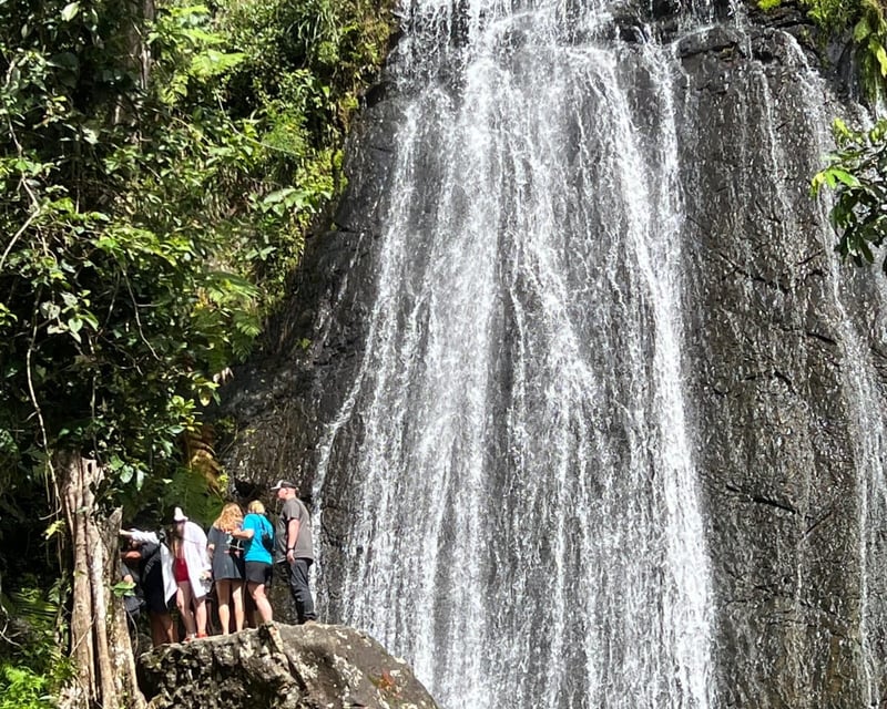 El Yunque National Forest Waterfall Tour from San Juan