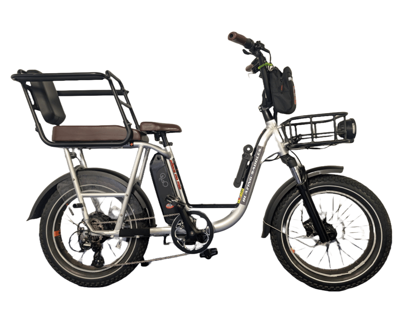 All-Day Electric Bike Rental in San Francisco