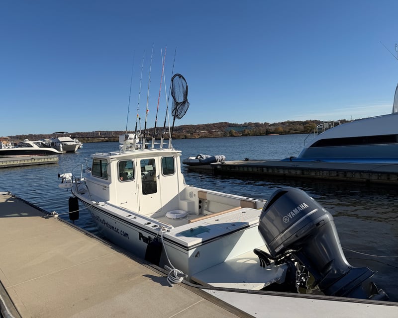 Private Potomac River Fishing Charter in Washington DC