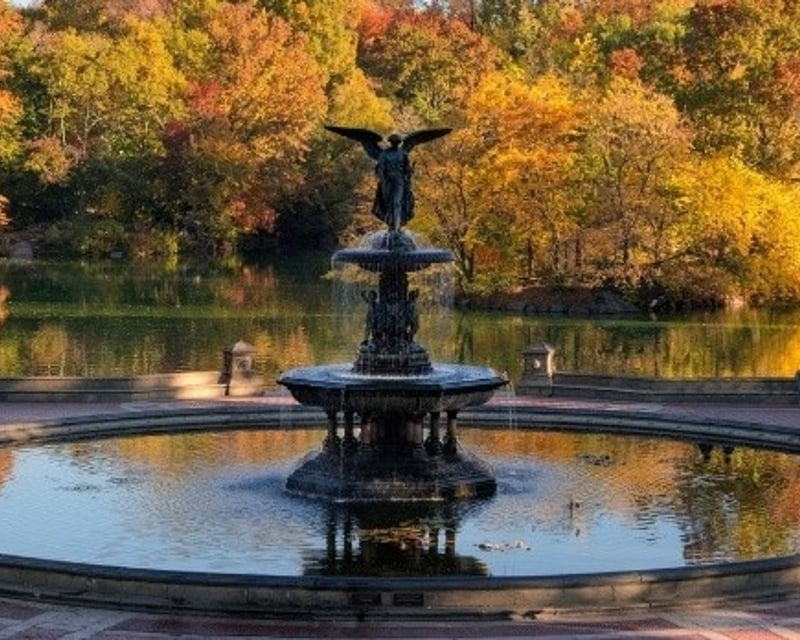 Central Park Guided Pedicab Tour With 7 Photo Stops