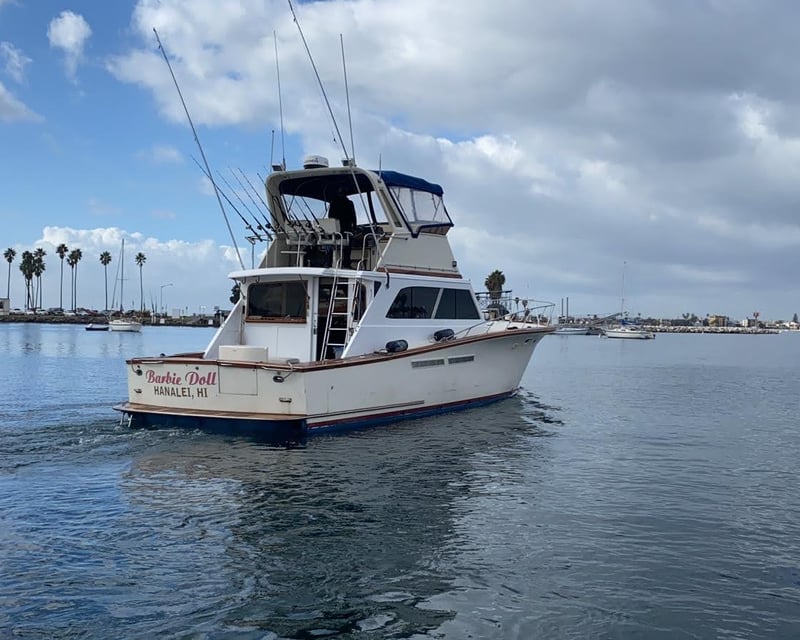 12-Hour Fishing Charter to Coronado Islands
