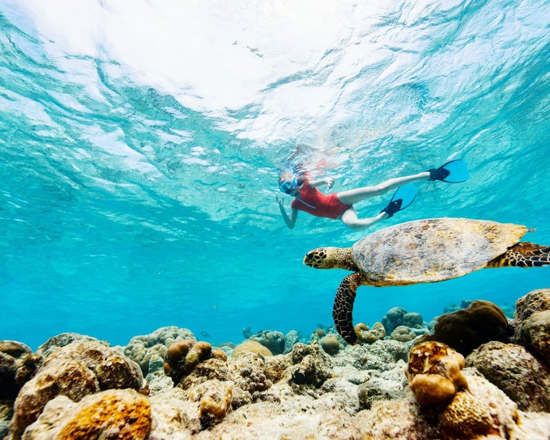 Upper Florida Keys 2-Hour Snorkel Cruise