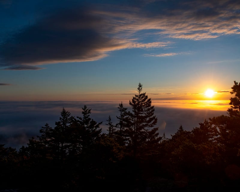 Private Custom Guided Hike in Acadia National Park