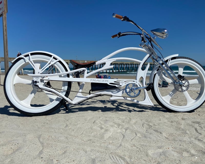 4-Hour Guided E-Bike Tour of Wilmington