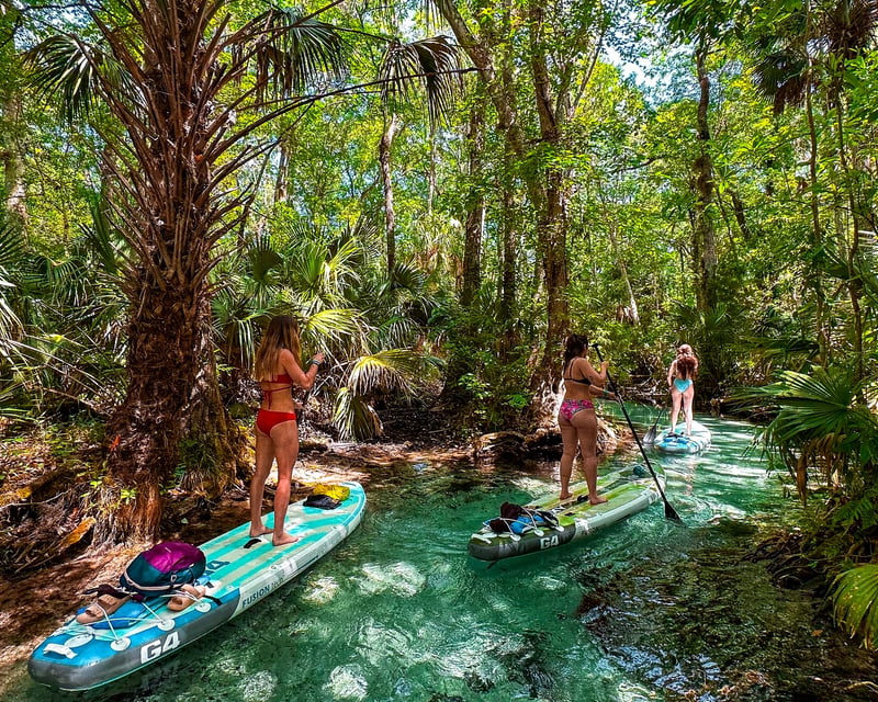 2-2.5-Hour Guided Rainbow Springs Paddle Tour