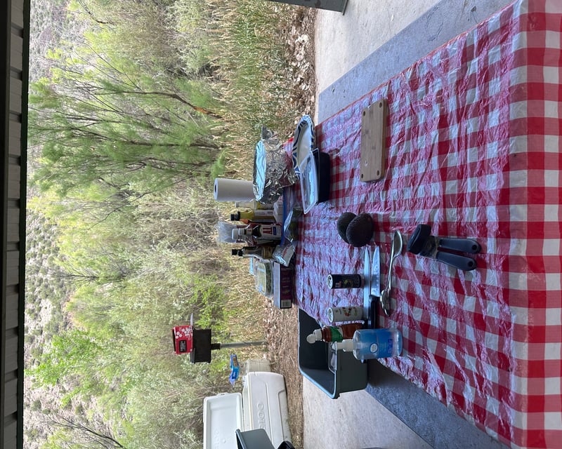 Half-Day Rio Grande Rafting & Steak Picnic in Pilar