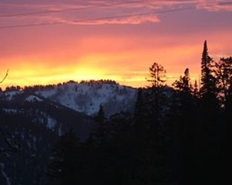 Private Grand Teton National Park Wildlife & Scenic Tour