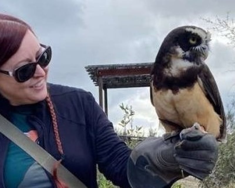 Owl Handling Experience in Escondido