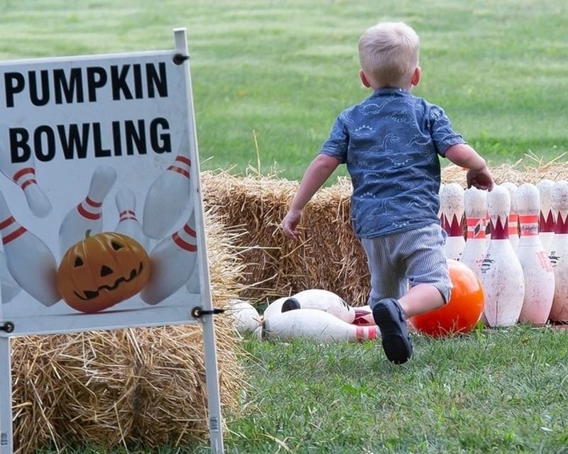 Pumpkin Farm Day Group Admission in Radnor, Ohio
