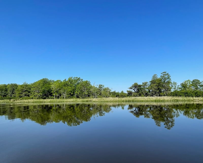 Intracoastal Waterway Jet Ski Tour in Pawleys Island