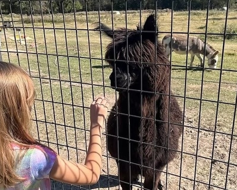 VIP Zoo Birthday Party & Animal Encounters in Grand Saline