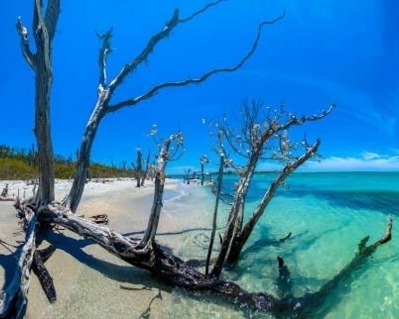 Private Island Shelling & Snorkel Tour in St. Petersburg