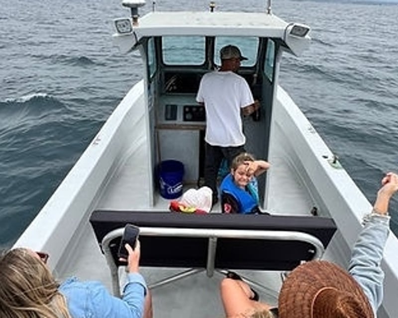 Family-Friendly Whale & Dolphin Watching in Oceanside