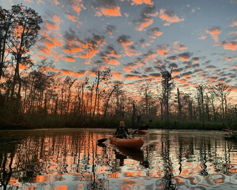 Kayak Manchac Swamp & Whitney Plantation Tour