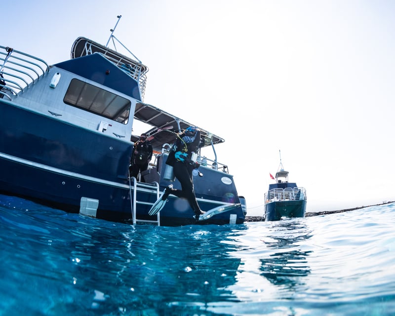 2-Tank Morning Scuba Dive & Snorkel Charter in Kona