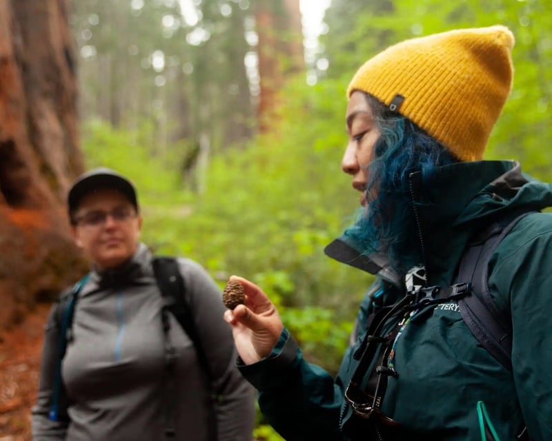Yosemite Valley Full-Day Guided Tour & Hike