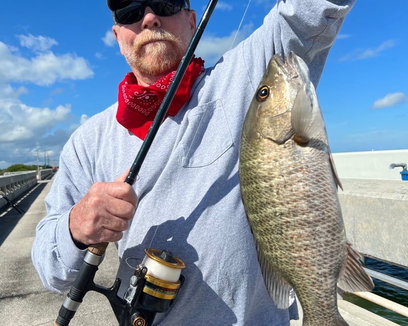 Upper Keys 3-Hour Fishing Charter