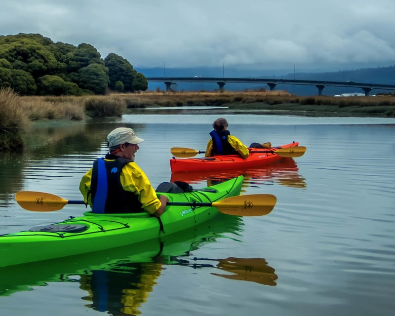 Humboldt Bay Kayak Tour