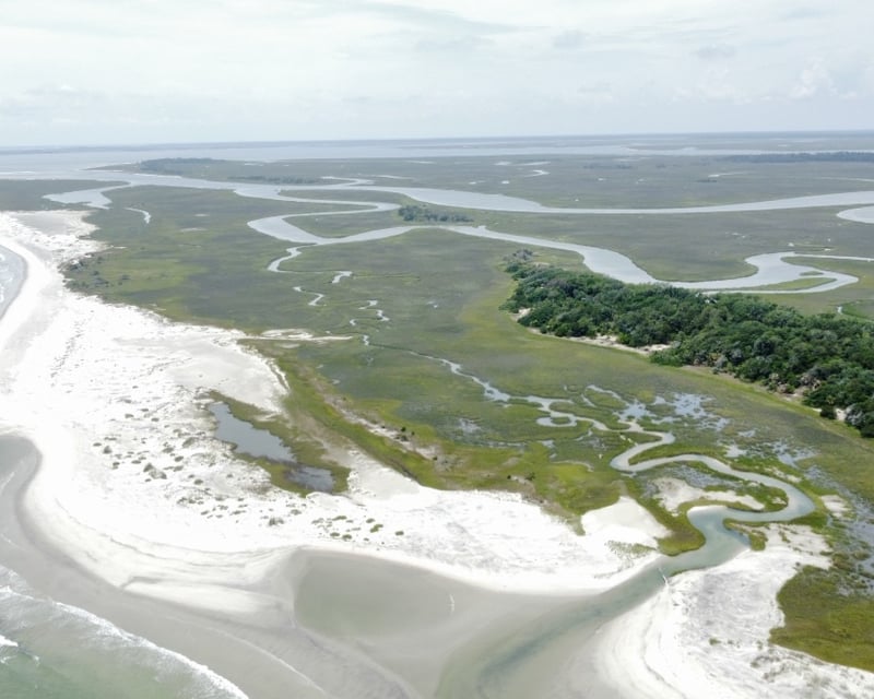 Private Dolphin Tour on Tybee Island Salt Marshes