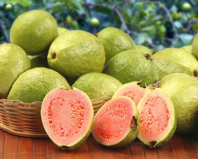 Brunch Food Tour at West Palm Beach GreenMarket