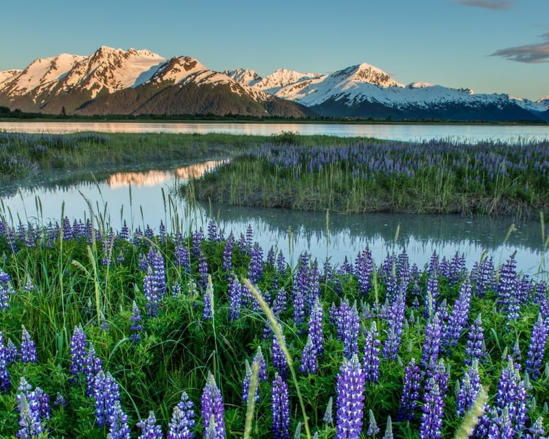 Turnagain Arm Photography Tour near Anchorage