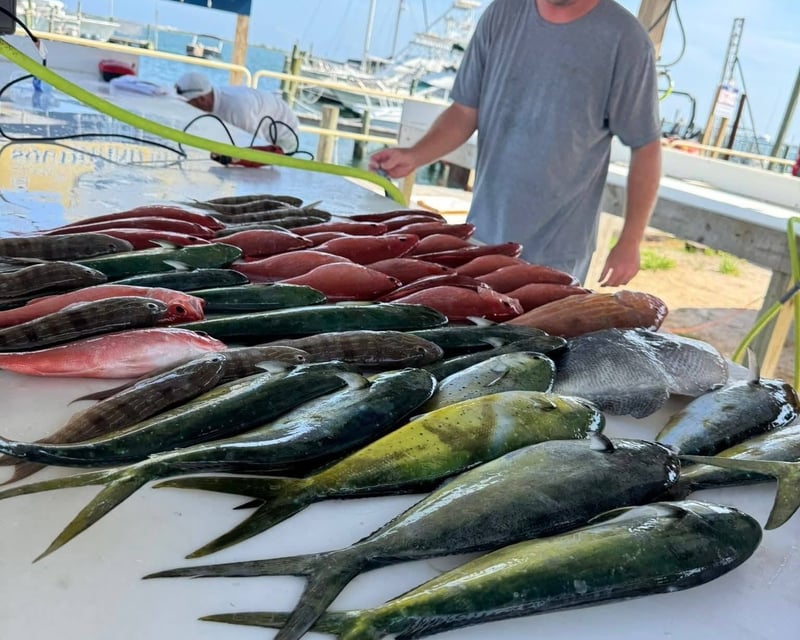 Wednesday Walk-On Fishing Charter in Pensacola