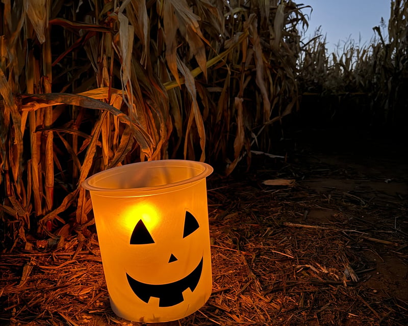 5-Acre Flashlight Corn Maze in Windsor, CT