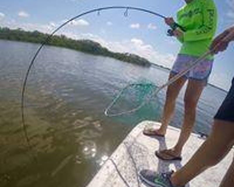 Mangrove & Gulf Inshore Fishing Charter in Crystal River