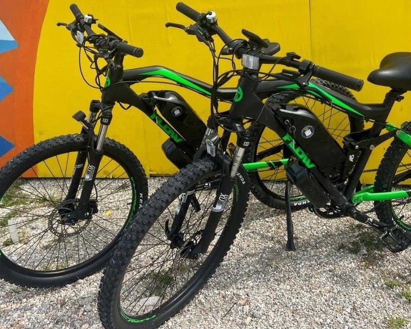 1-Day Class 3 E-Bike Rental in Fort Myers Beach