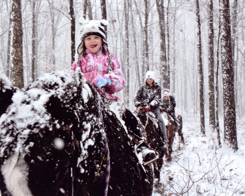 New Plymouth Horseback Ride & Farm Animal Tour