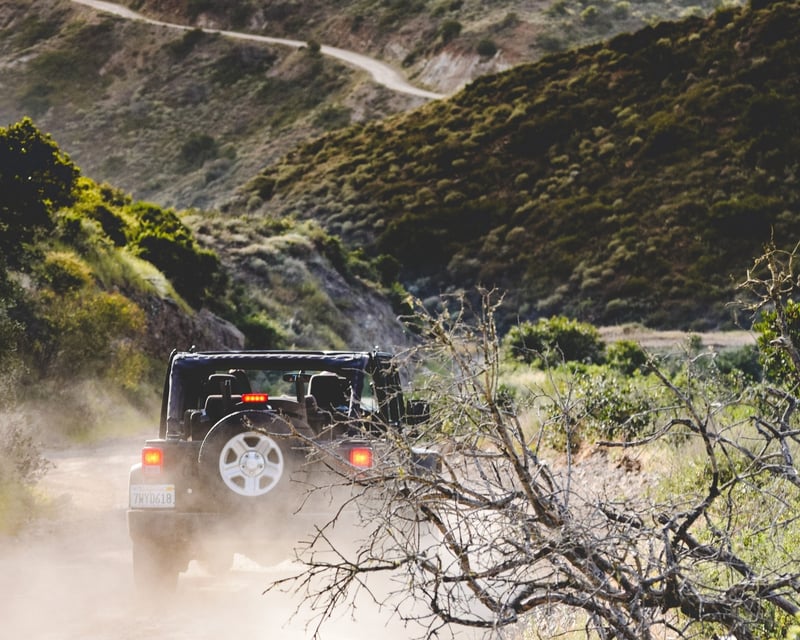 2.5-Hour Eco Tour in Avalon
